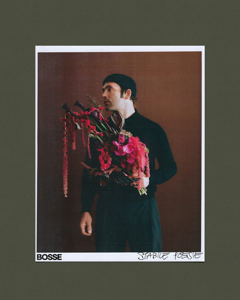 Album Cover "Stabile Poeasie" von BOSSE